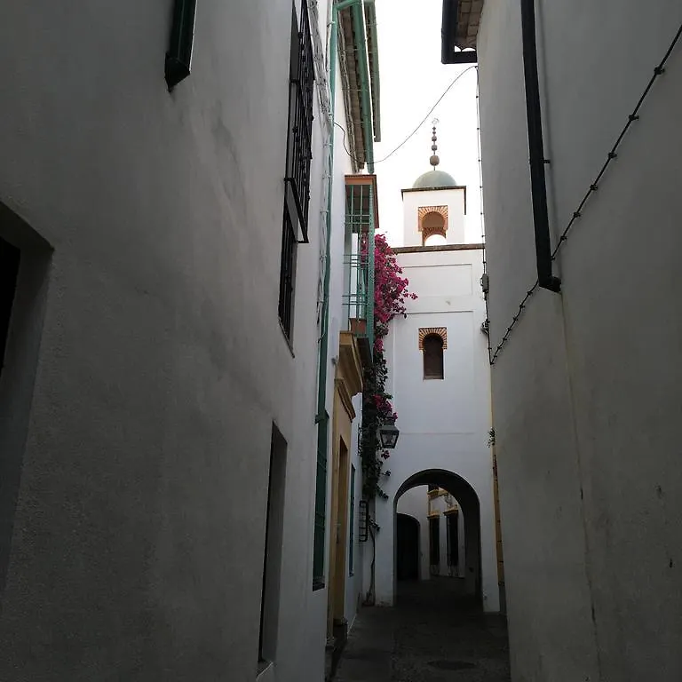 Apartamentos La Hoguera Cordoba Spain