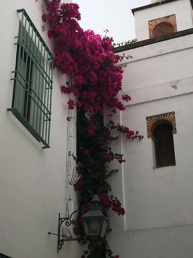 Apartamentos La Hoguera Cordoba
